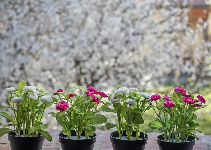 I Balconi 公寓 *